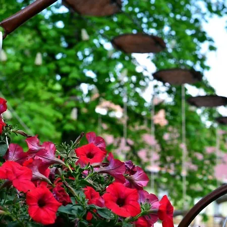 Guest house Zoldkert Panzio