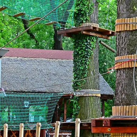 Guest house Zoldkert Panzio *